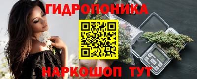 крисы Мариинск