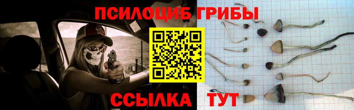 Псилоцибиновые грибы Cubensis  Вход с VPN  Губкин 